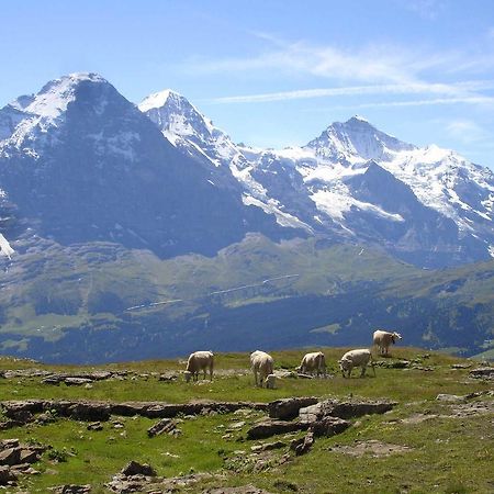 Beim See Grindelwald Buitenkant foto