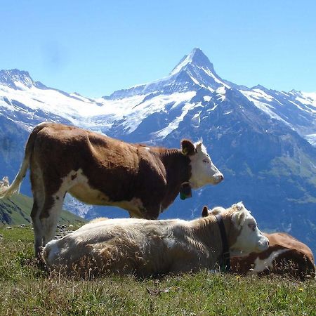Beim See Grindelwald Buitenkant foto