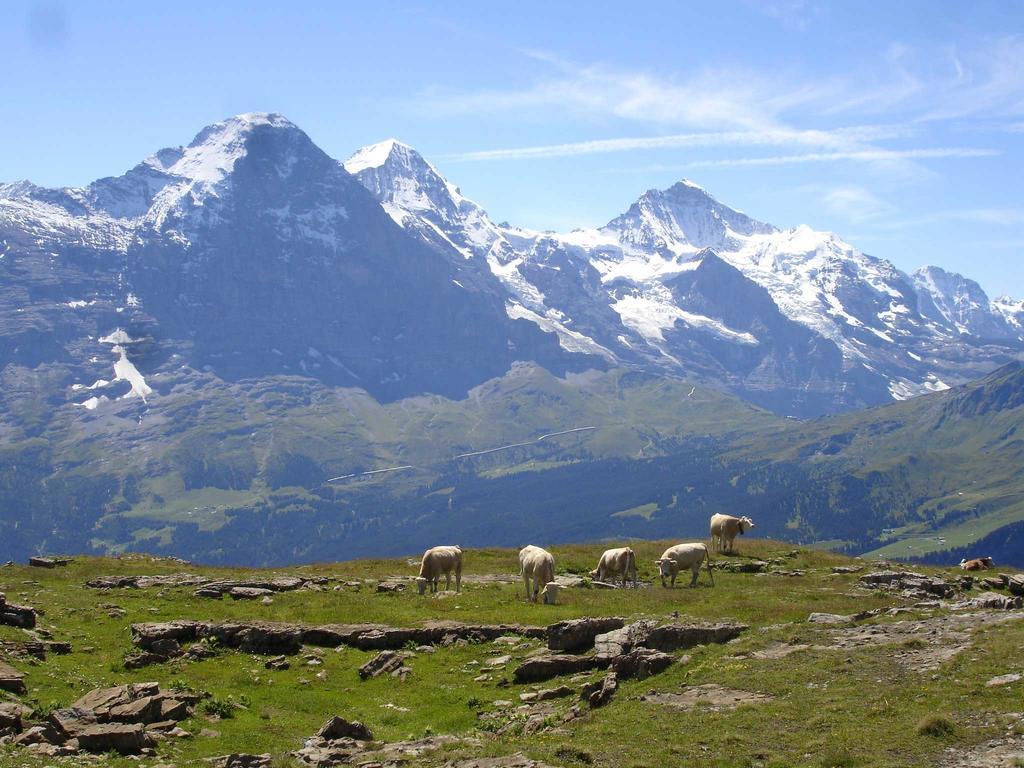 Beim See Grindelwald Buitenkant foto