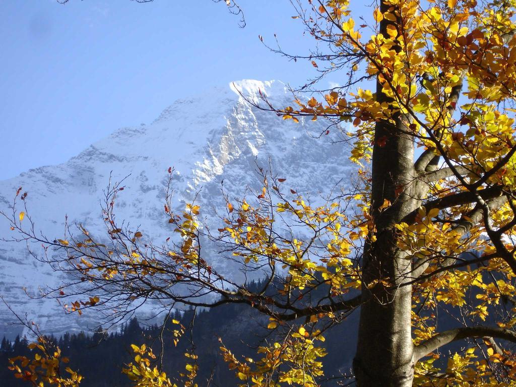 Beim See Grindelwald Buitenkant foto