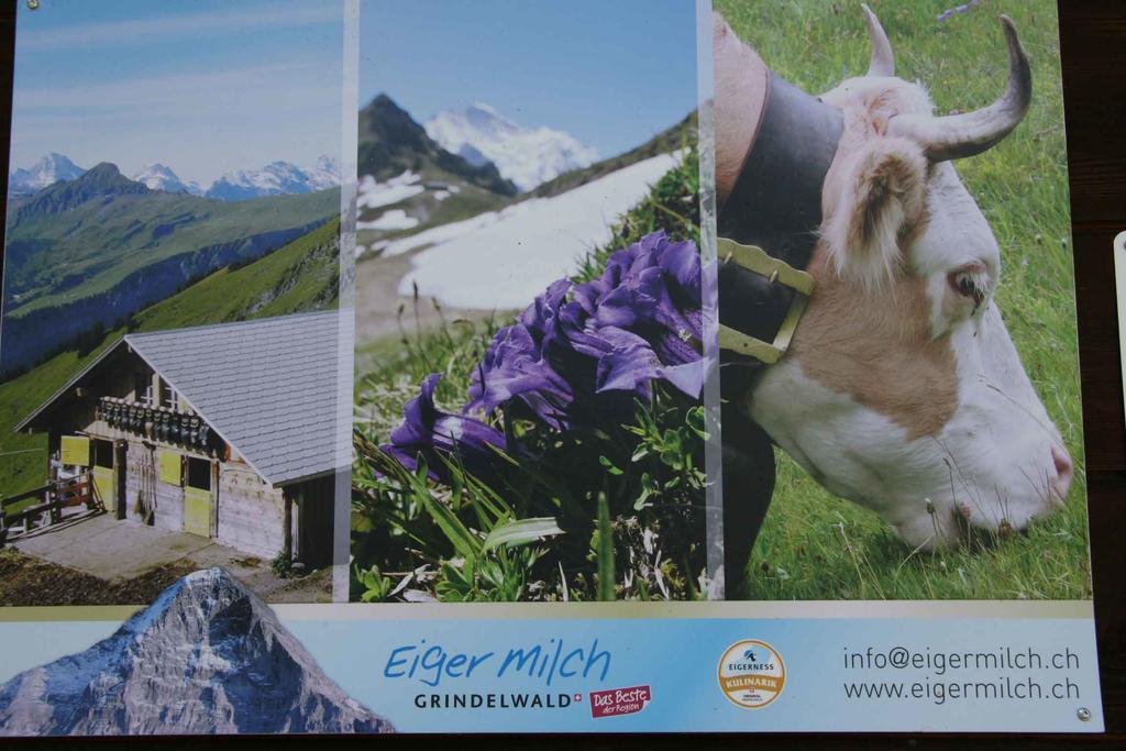 Beim See Grindelwald Buitenkant foto